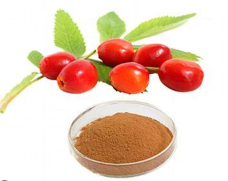 Rose Hip Extract Powder