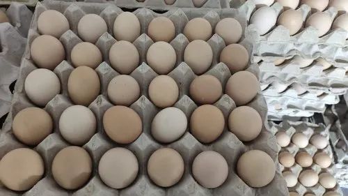 Kadaknath Chicken Egg