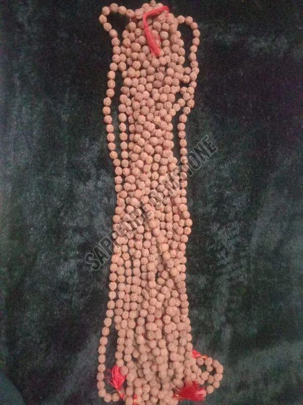 Rudraksha Siddha Mala