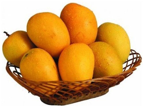 Alphonso Premium Fresh Mango