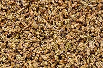 Fresh Carom Seeds