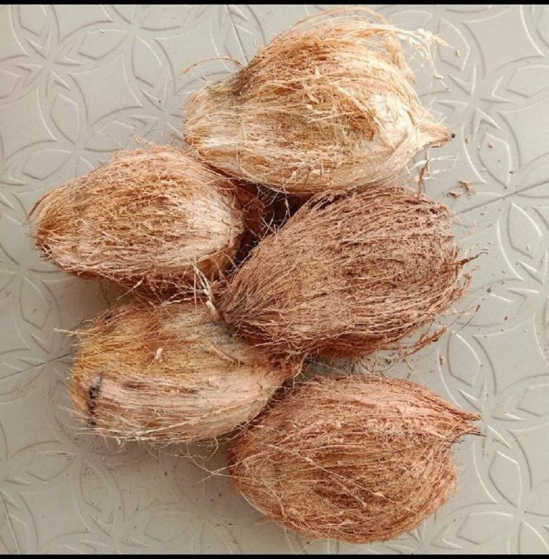 Fresh Husked Coconut