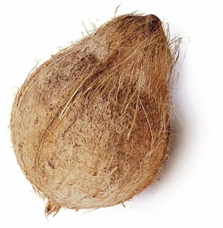 Fresh Semi Husked Coconut