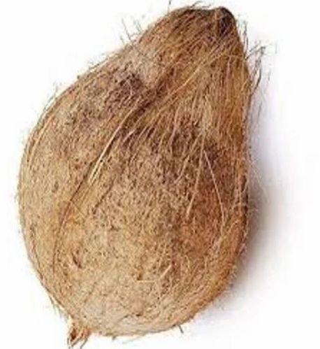 Premium Semi Husked Coconut