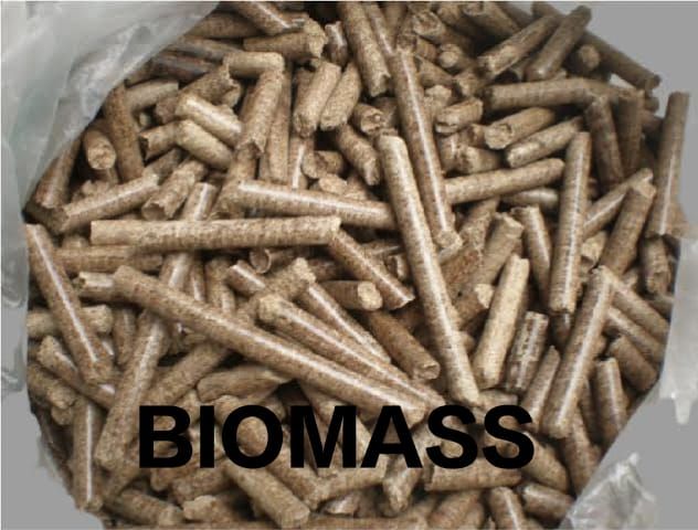 Biomass Pellet