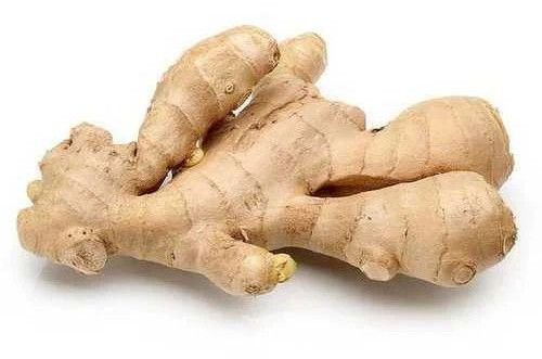 Fresh Brown Ginger
