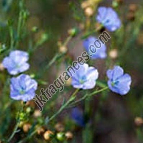 Flaxseed Oil