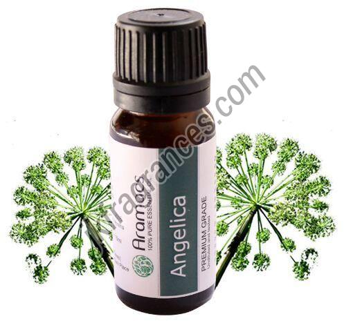 Natural Angelica Seed Oil