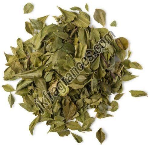 Natural Buchu Oil