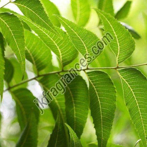 Organic Neem Oil
