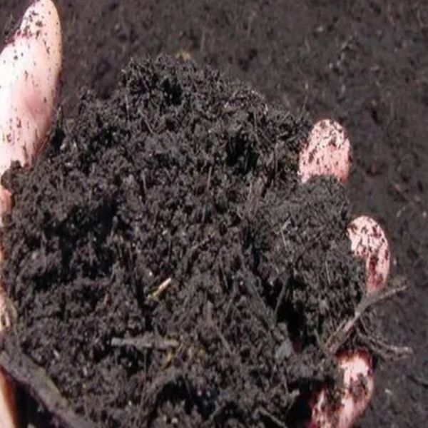 Black Soil Powder