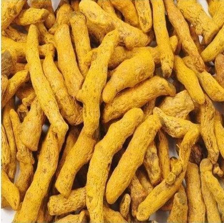 Organic Turmeric Finger