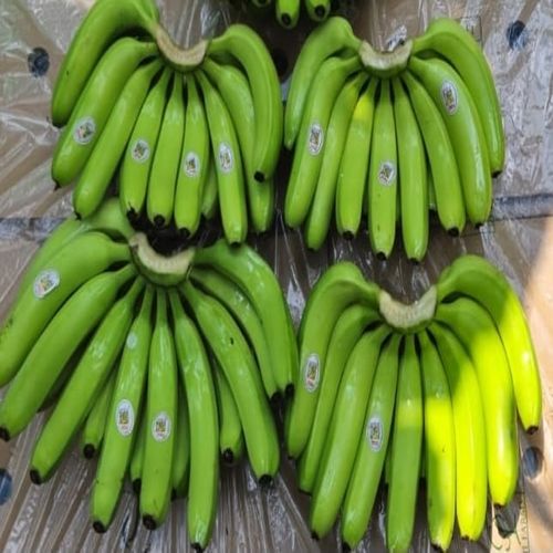 fresh banana