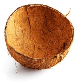coconut shell