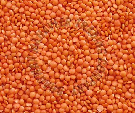Masoor Dal