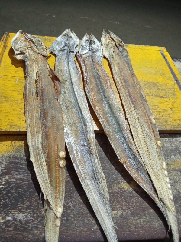 Dried Ribbon Fish
