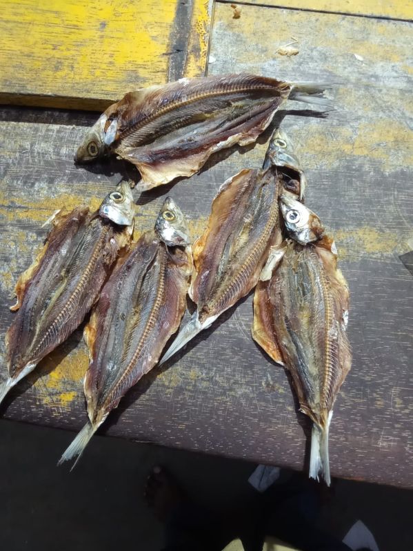 Dried Sardine Fish