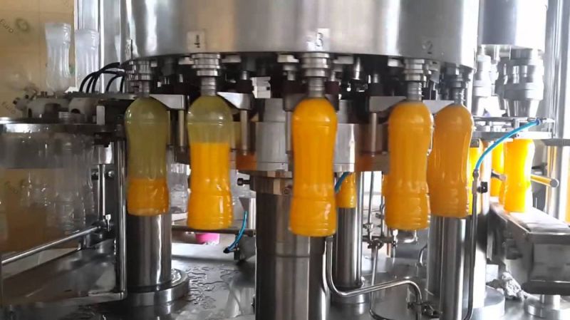 Fruit Juice Plants