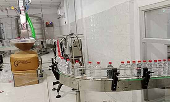 Stainless Steel Conveyors