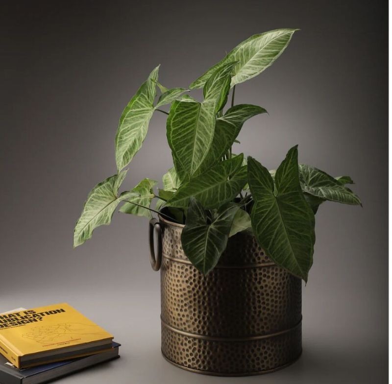 Decorative Iron Planters