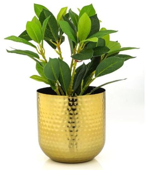 Iron Garden Planters