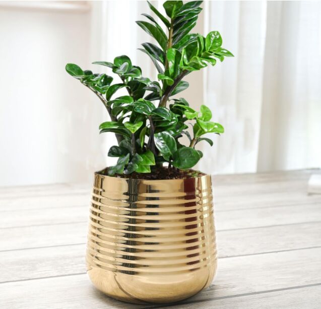 Rounded Planter