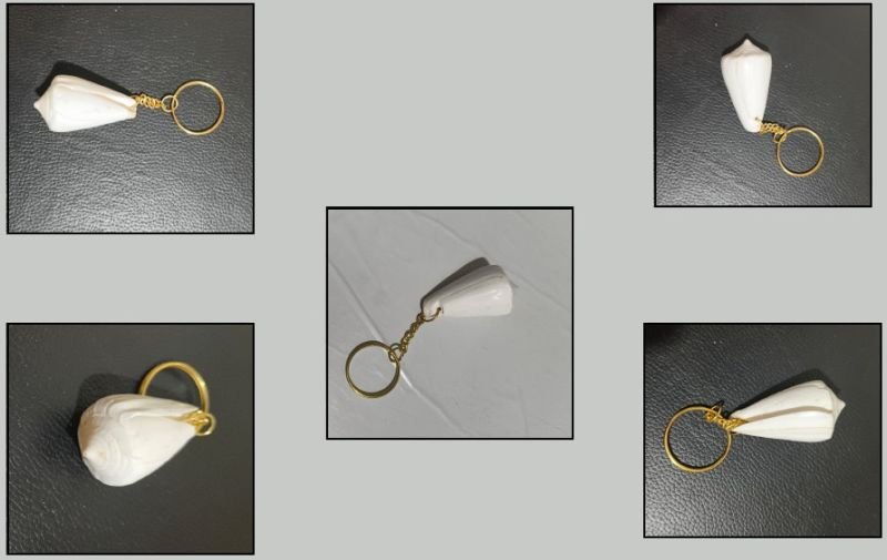 White Sea Shell Key Chains