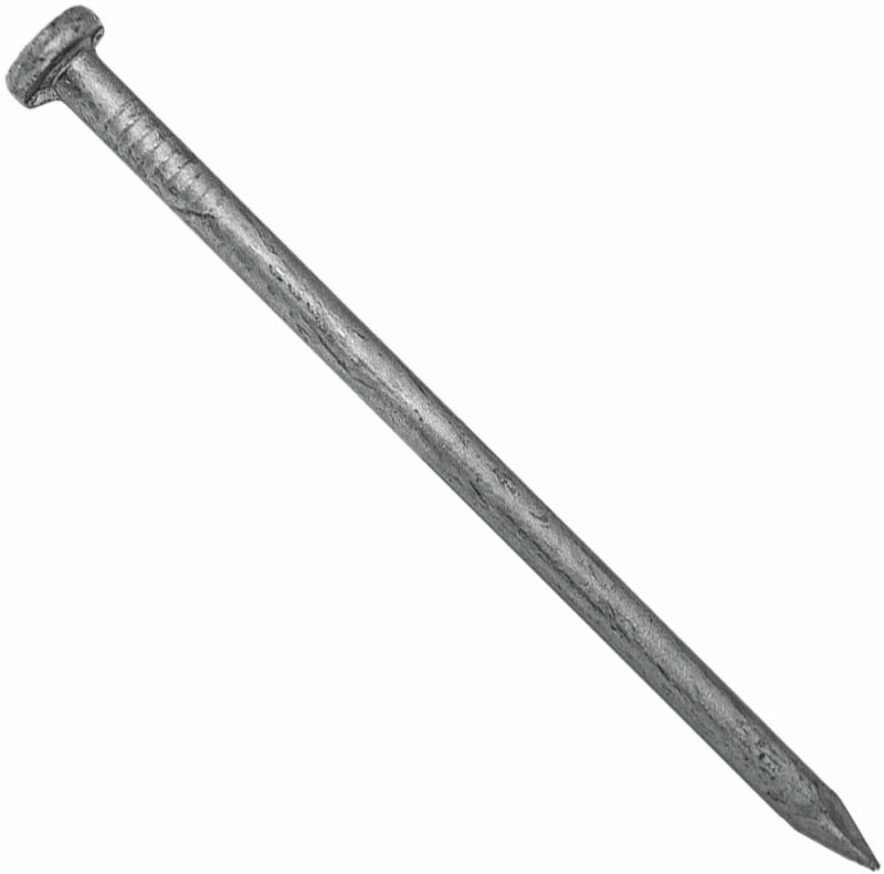 Galvanized Wire Nail