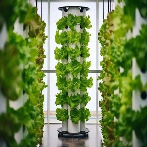 Aeroponic Cultivation Training
