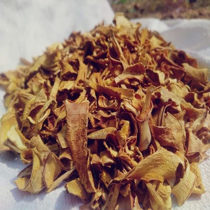 Dried Aloe Vera Leaves