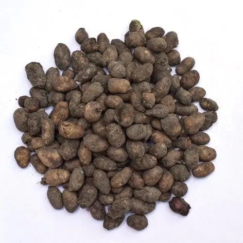 Jamun Seeds