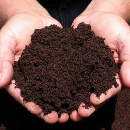 Vermicompost Training