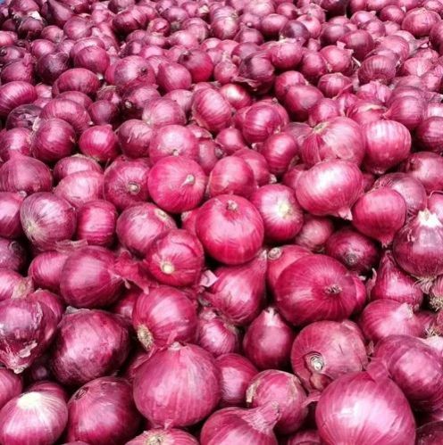 Fresh Red Onion