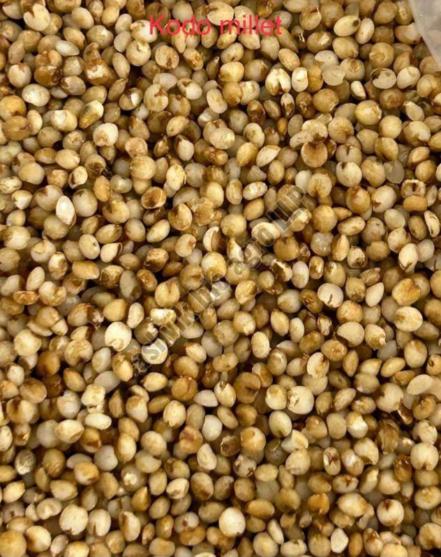Kodo Millet