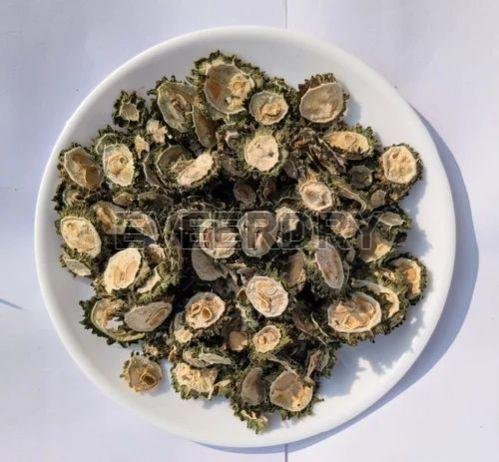 Dehydrated Bitter Gourd Slices