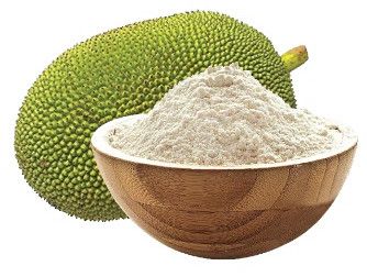Green Jack Fruit Powder