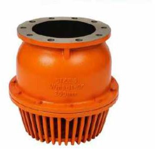 Cast Iron Foot Valve