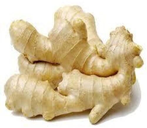 Ginger