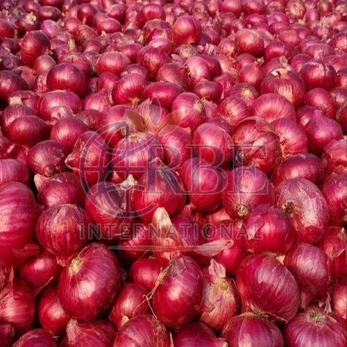 Fresh Nashik Red Onion