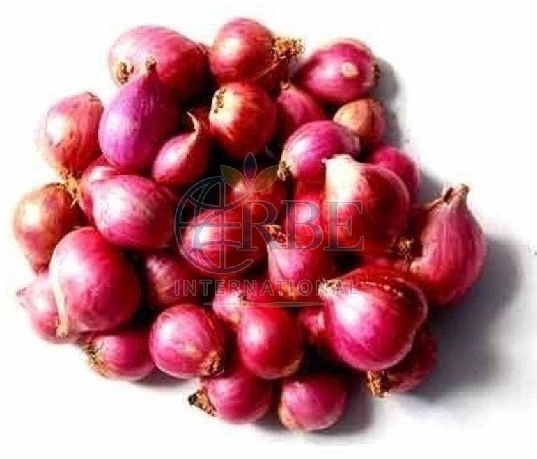 Fresh Small Red Onion