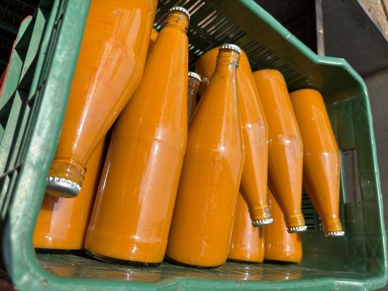 Fresh Alphonso Mango Pulp