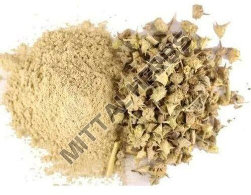 Gokhru Extract