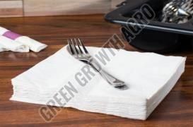 2 Ply White Paper Napkin