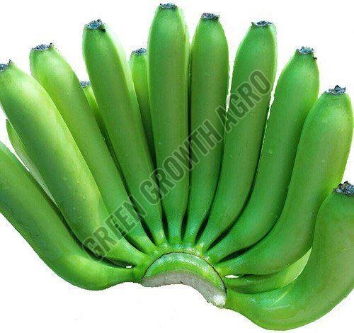 A Grade Cavendish Raw Banana