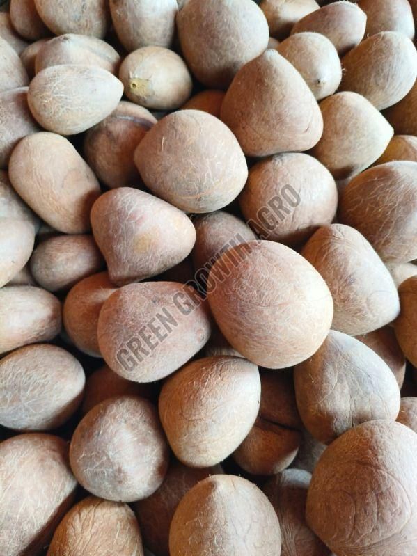 Dried Brown Whole Coconut
