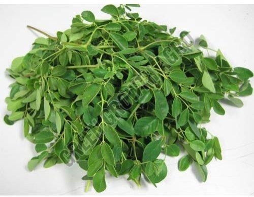 Organic Moringa Dried Leaves