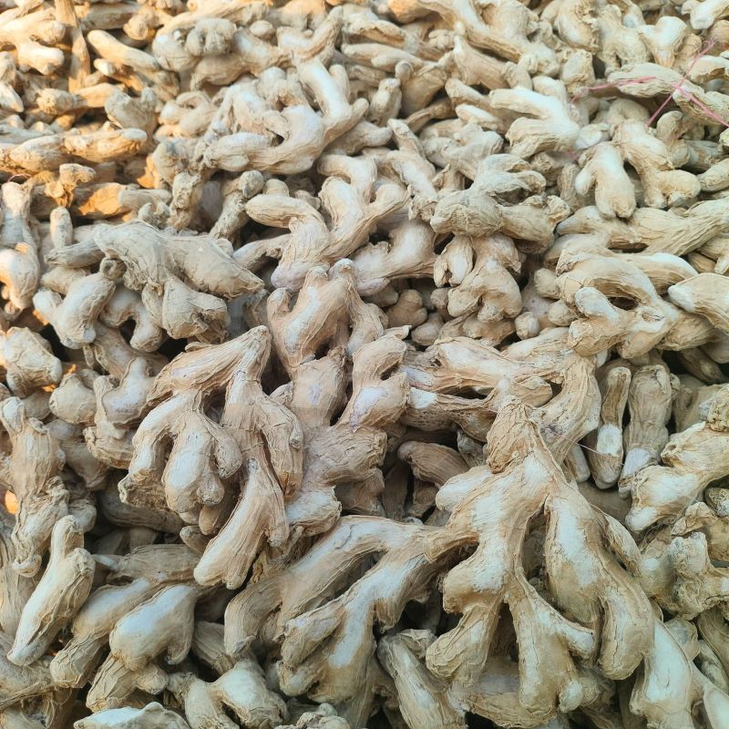 Deluxe Dry Ginger