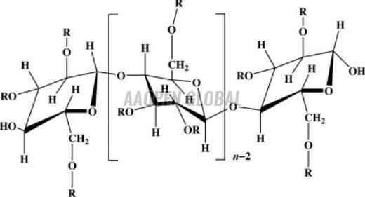 Hydroxypropyl Methylcellulose Pharmaceutical Excipient
