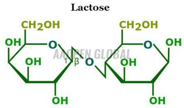 Lactose Pharmaceutical Excipient
