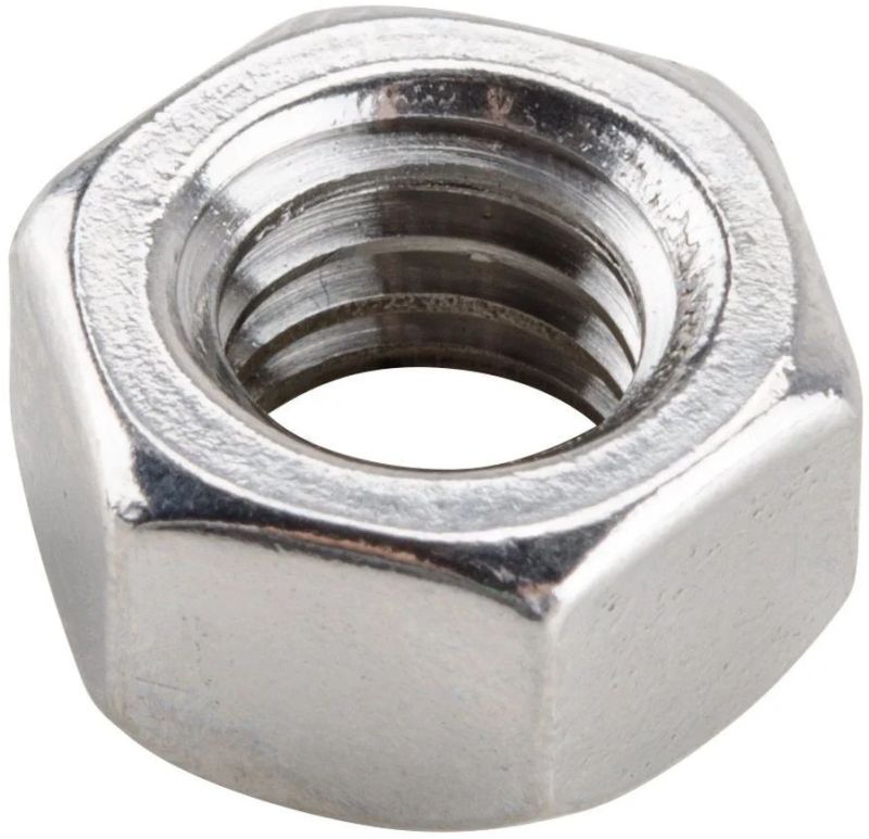 Stainless Steel Hex Nut Bolt